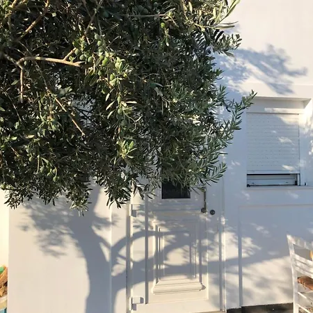 Dapapà